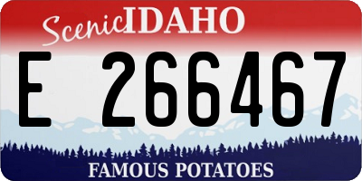 ID license plate E266467