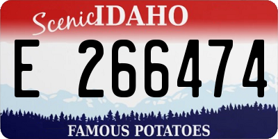 ID license plate E266474