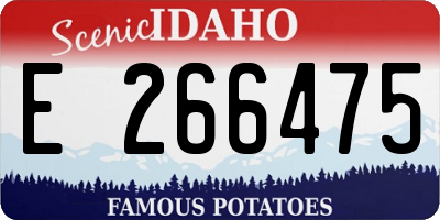 ID license plate E266475