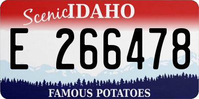ID license plate E266478