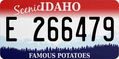 ID license plate E266479