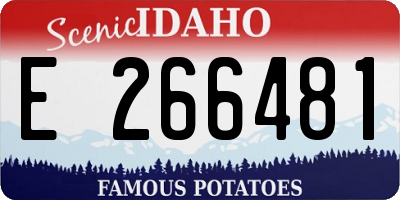 ID license plate E266481