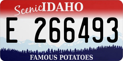 ID license plate E266493