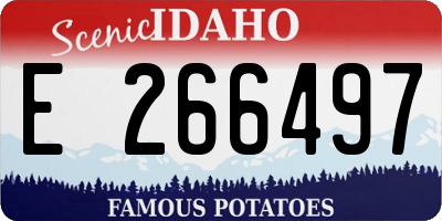 ID license plate E266497