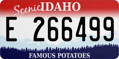 ID license plate E266499