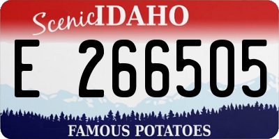 ID license plate E266505