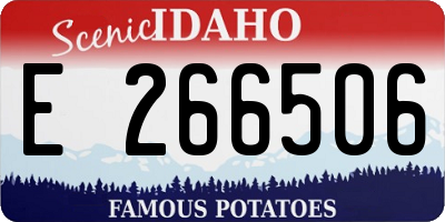 ID license plate E266506