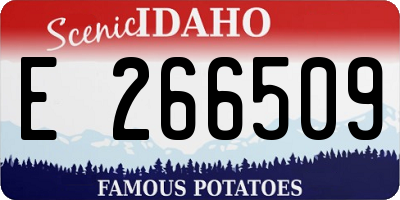 ID license plate E266509