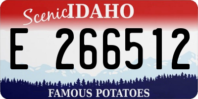 ID license plate E266512