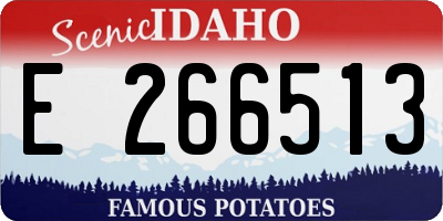 ID license plate E266513