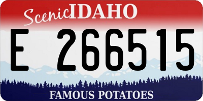ID license plate E266515