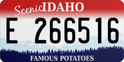 ID license plate E266516