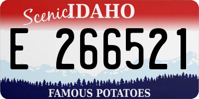 ID license plate E266521