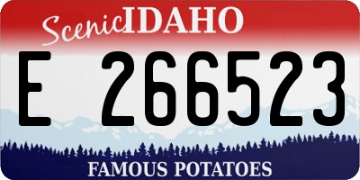 ID license plate E266523