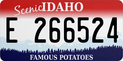 ID license plate E266524