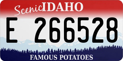 ID license plate E266528
