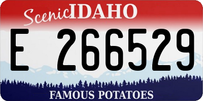 ID license plate E266529