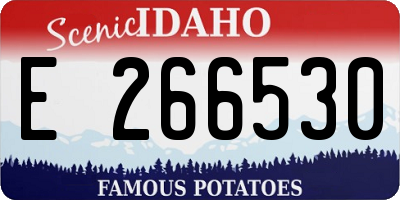 ID license plate E266530