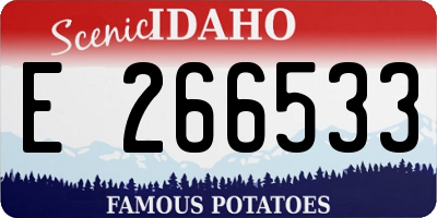 ID license plate E266533