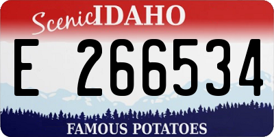 ID license plate E266534