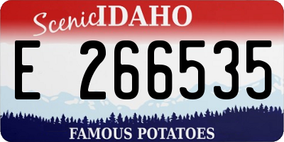 ID license plate E266535