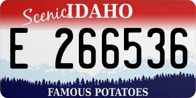 ID license plate E266536