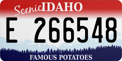 ID license plate E266548