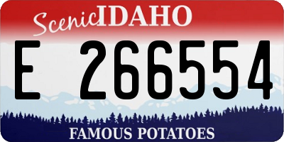ID license plate E266554