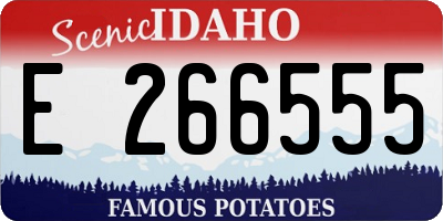 ID license plate E266555