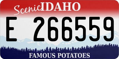 ID license plate E266559