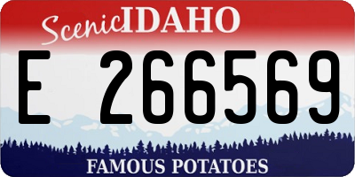 ID license plate E266569