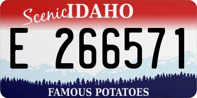 ID license plate E266571