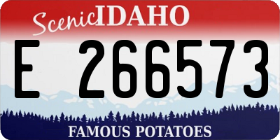 ID license plate E266573