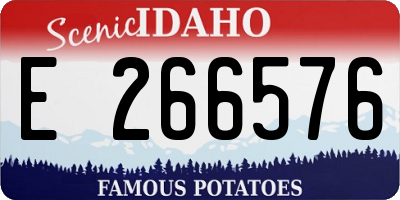 ID license plate E266576