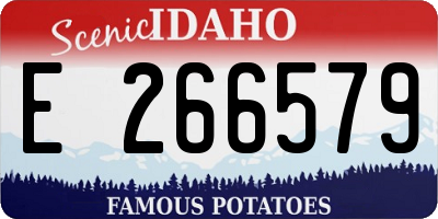 ID license plate E266579