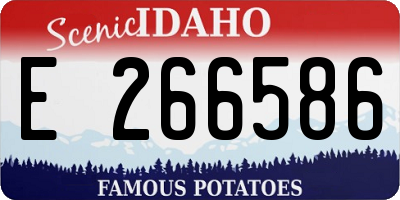 ID license plate E266586