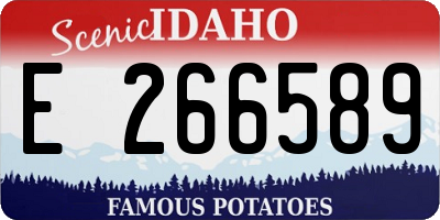 ID license plate E266589
