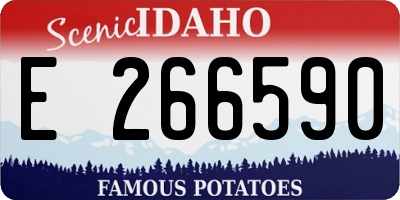 ID license plate E266590