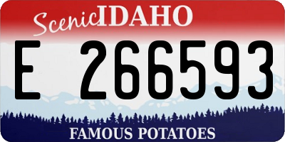 ID license plate E266593