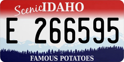 ID license plate E266595