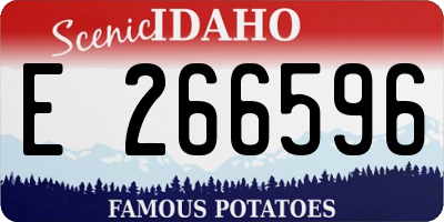 ID license plate E266596