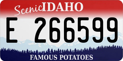 ID license plate E266599