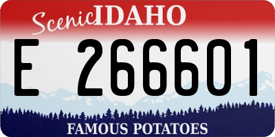 ID license plate E266601
