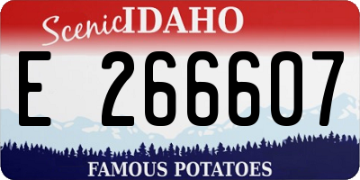 ID license plate E266607