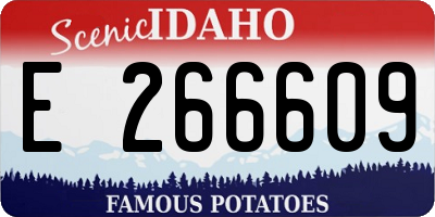 ID license plate E266609