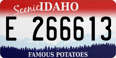 ID license plate E266613
