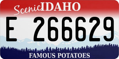 ID license plate E266629