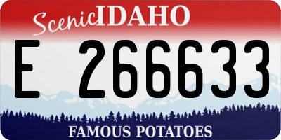 ID license plate E266633