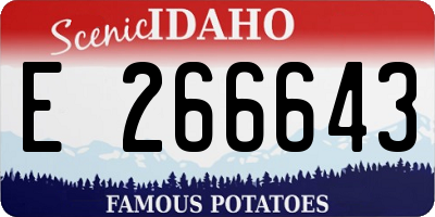 ID license plate E266643