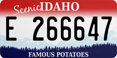 ID license plate E266647